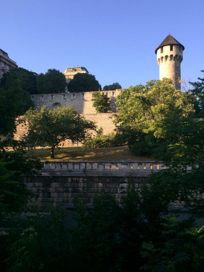 Luxury Apartment View On To The Castle Budapest Exterior foto